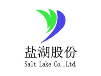 上海盐湖东信新材料科技有限公司